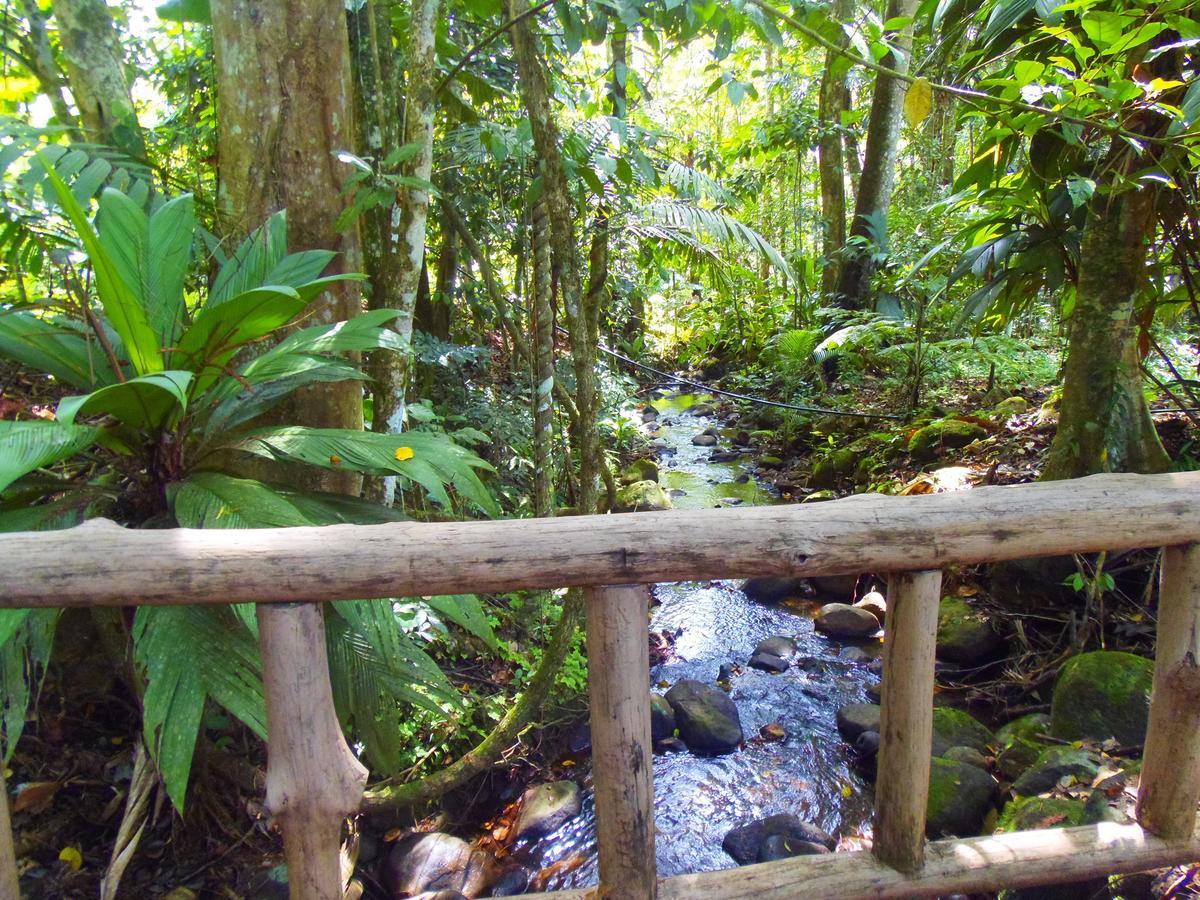 Hotel Valle Azul San Gerardo Номер фото