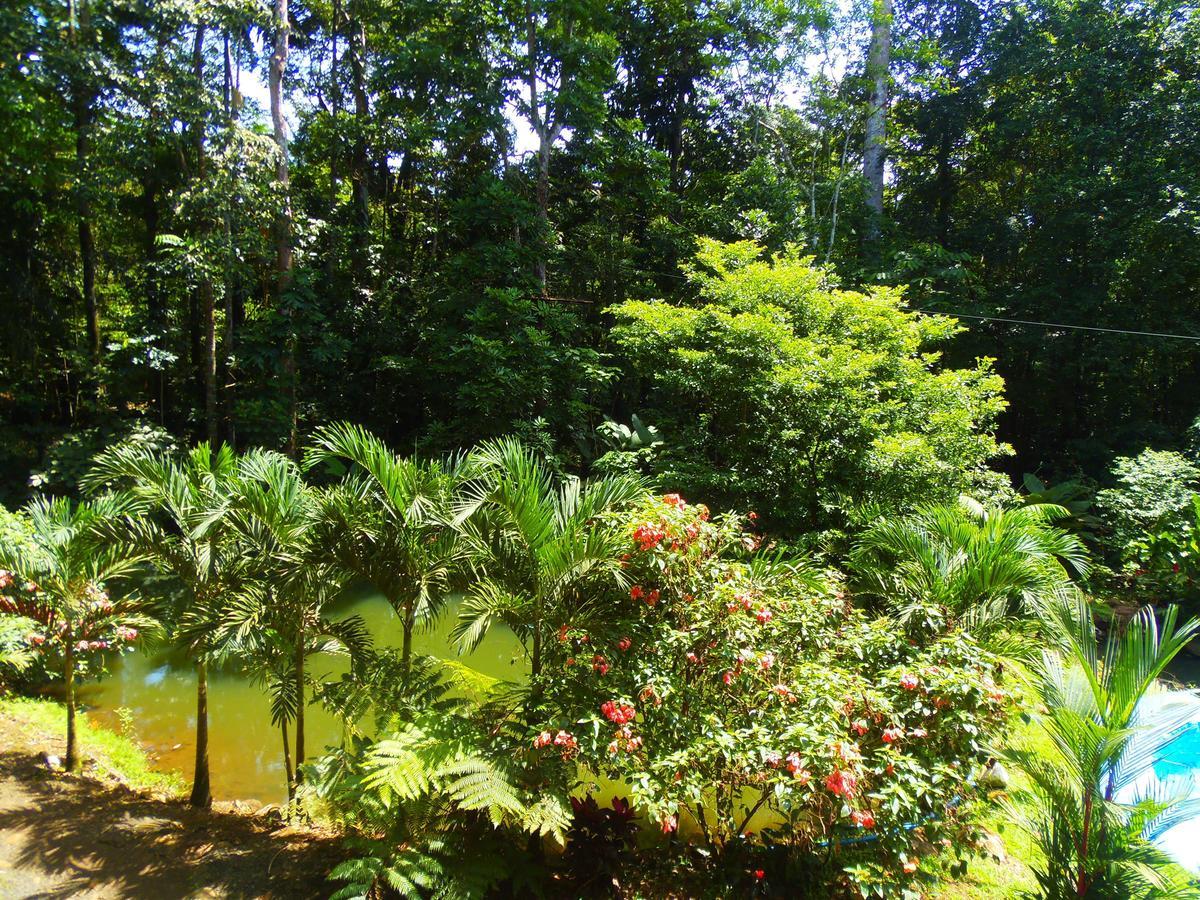 Hotel Valle Azul San Gerardo Номер фото