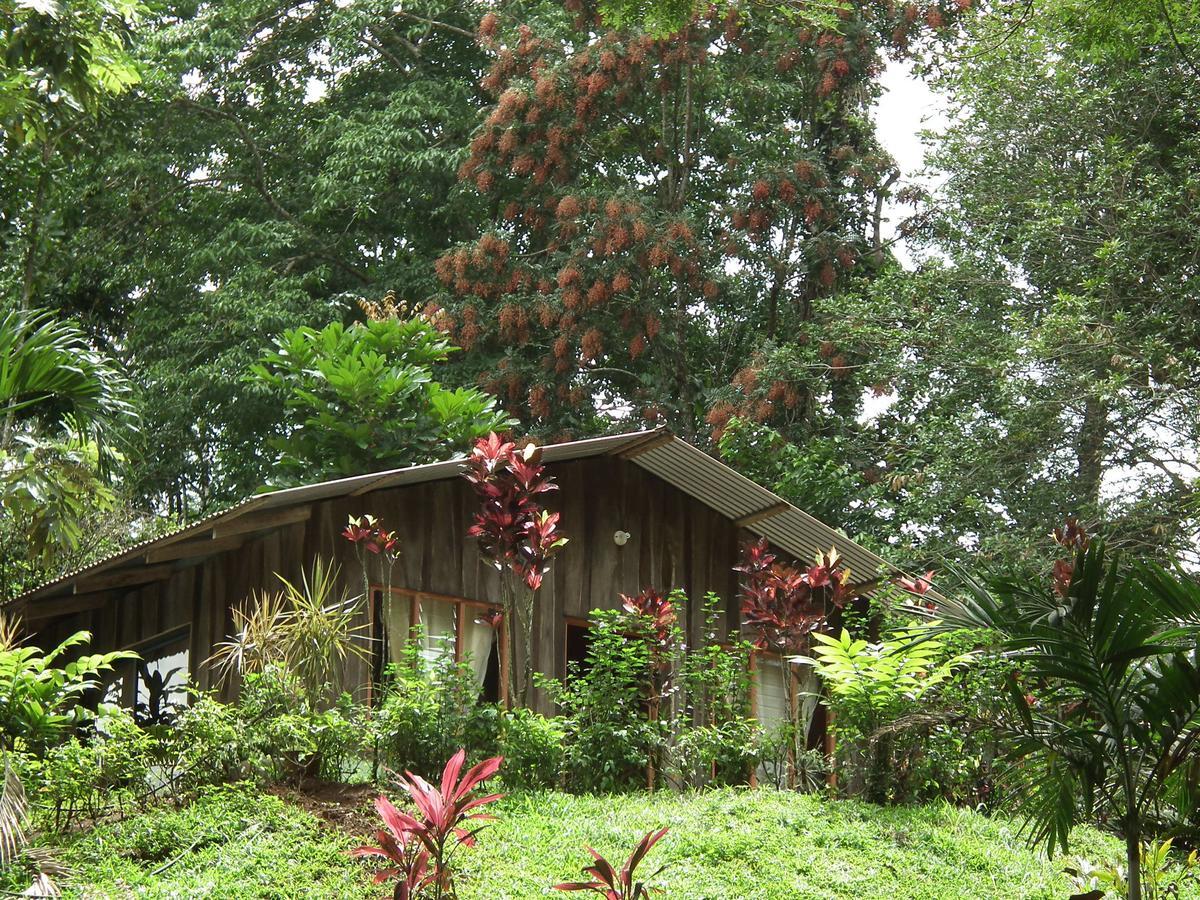 Hotel Valle Azul San Gerardo Номер фото